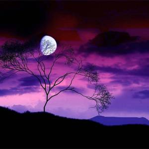 Mond